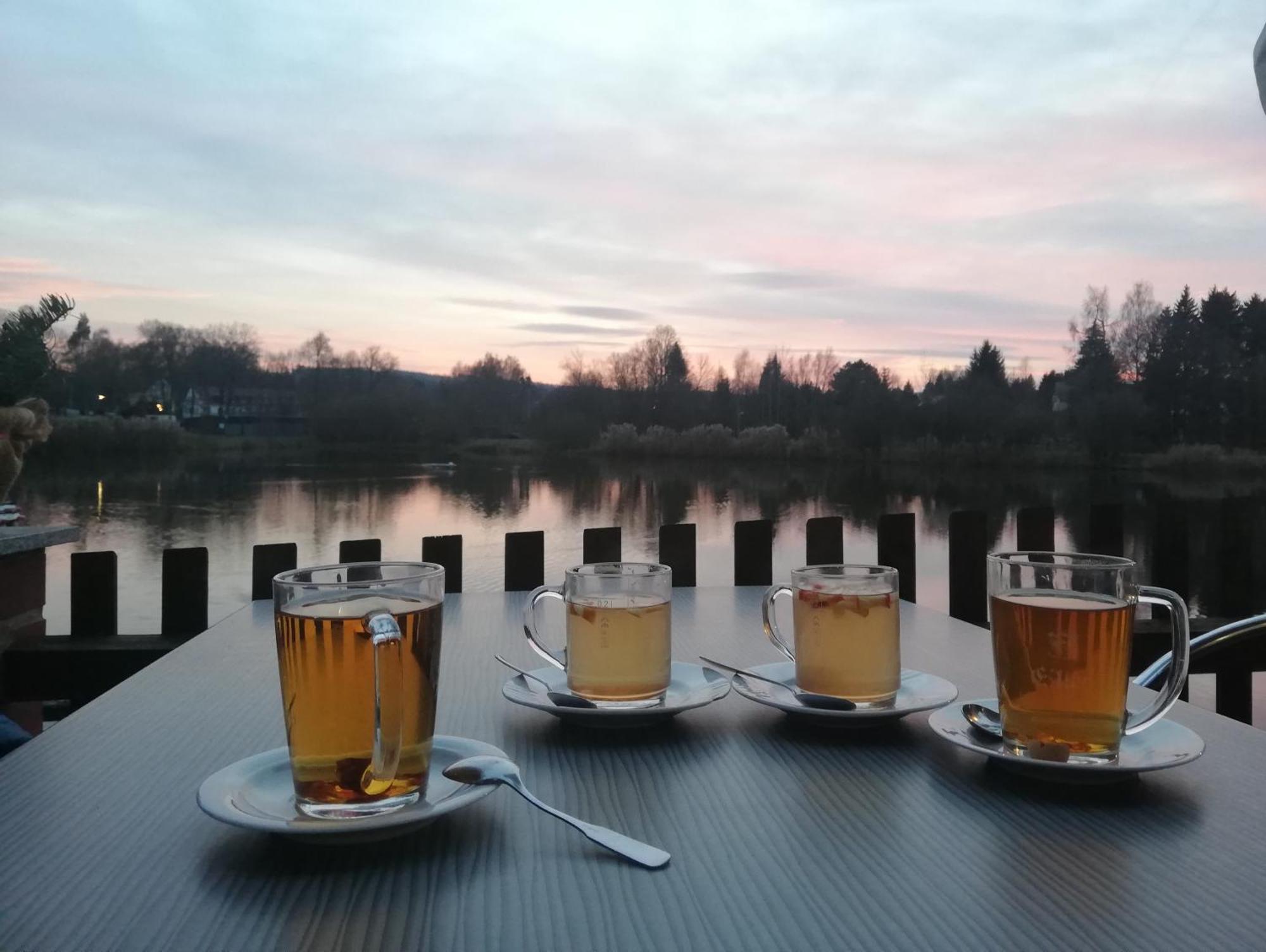 Ferienwohnung - Landhotel Waldschloesschen Sohland an der Spree Extérieur photo
